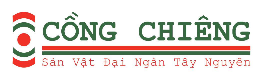 Cửa hàng THA Shop